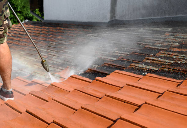 Best Fence Pressure Washing  in Prospect, OH