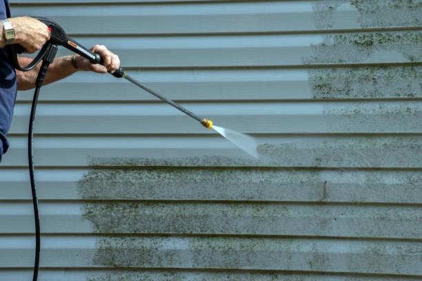 Best Deck Cleaning Services  in Prospect, OH